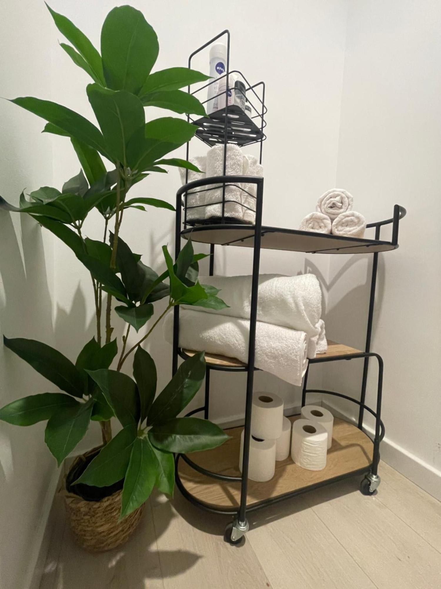 Modern Spacious *